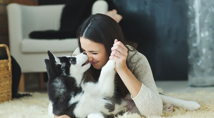 indoor air quality