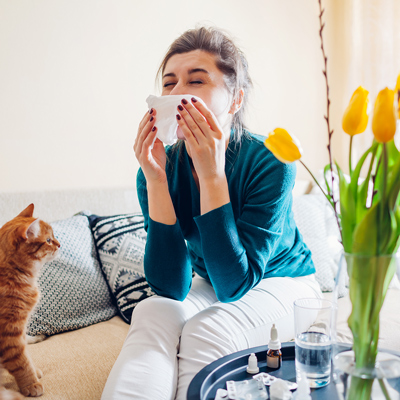 woman sneezing next to cat and yellow tulips